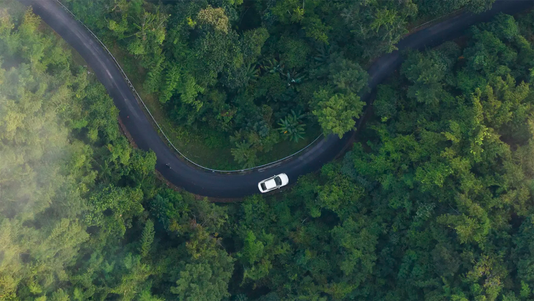 Aerial view of an EV driving through a lush green forest